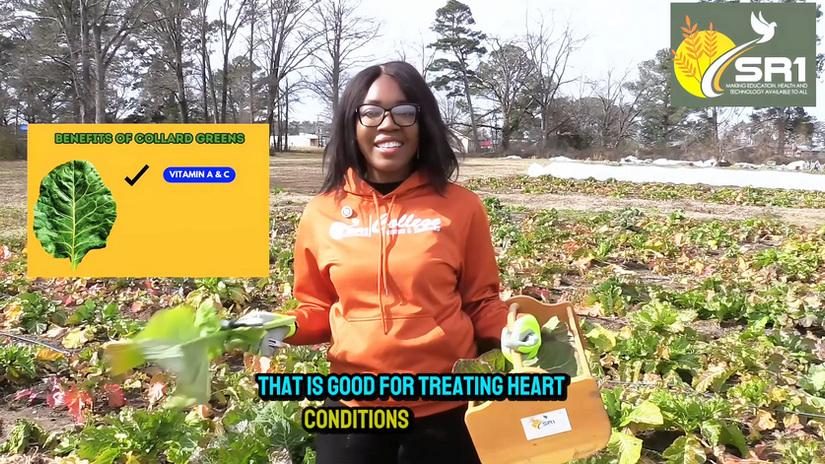 C.O.O.L.™ Collard Green Lesson